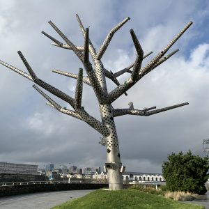 L'arbre empathique? place Jean-François Coatmeur à Brest